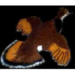 PHEASANT PIN