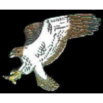 HAWK WITH SWEPT OUT WINGS PIN