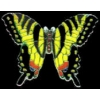 SWALLOWTAIL BUTTERFLY PIN