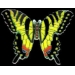 SWALLOWTAIL BUTTERFLY PIN