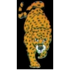 LEOPARD ON THE PROWL ZOO SERIES