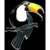 TOUCAN LOOKING ZOO SERIES PIN