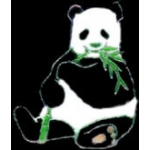 PANDA EATING ZOO SERIES