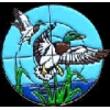 DUCK HUNTING IN THE SCOPE PIN