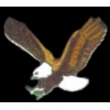 EAGLE WINGS UP MEDIUM PIN