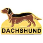 DACHSHUND PIN DOG PIN WITH SCRIPT