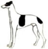 GREYHOUND DOG PIN