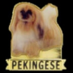 PEKINGESE PIN PHOTO STYLE DOG PIN