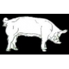 PIG PIN WHITE YORKSHIRE PIG PIN