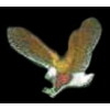 EAGLE WITH TALONS OUT SMALL LEFT PIN
