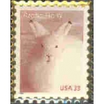 ARTIC HARE STAMP PIN DX