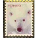 POLAR BEAR STAMP PIN DX