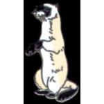 FERRET PIN