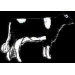 COW PINS HOLSTEIN FACING RIGHT PIN