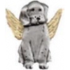 DOG PIN GUARDIAN ANGEL PIN DX