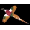 PHEASANT MINI PIN