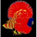 TURKEY PIN