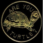 TURTLE PIN ARE YOU A TURTLE PIN