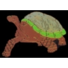 DESERT TORTOISE PIN