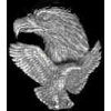 EAGLE FLIGHT AND HEAD CAST PIN