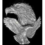 EAGLE FLIGHT AND HEAD CAST PIN