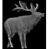 ELK PIN CAST STANDING ELK PIN