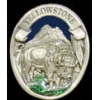 YELLOWSTONE BUFFALO PEWTER PIN