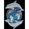 DOLPHIN EARTH CAST PIN