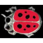 LADY BUG SMALL COLORED CAST PIN