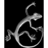 LIZARD PIN GECKO OR IGUANA CAST PIN