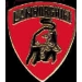 LAMBORGHINI CAR LOGO PIN