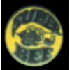 DODGE CHARGER SUPER BEE RD LOGO PIN