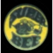 DODGE CHARGER SUPER BEE RD LOGO PIN
