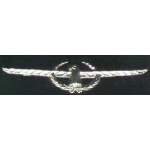 FORD THUNDERBIRD 70S SILVER LOGO PIN