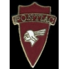 PONTIAC SHIELD LOGO PIN