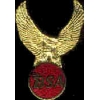 BSA MOTORCYCLE EAGLE PIN