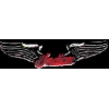 INDIAN MOTORCYCLE PIN WING PIN