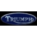 TRIUMPH MOTORCYCLE BLUE OVAL PIN