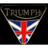 TRIUMPH MOTORCYCLE TRIANGLE FLAG PIN