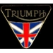 TRIUMPH MOTORCYCLE TRIANGLE FLAG PIN
