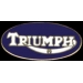 TRIUMPH MOTORCYCLE OVAL PIN