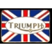 TRIUMPH MOTORCYCLE FLAG LOGO PIN