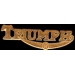 TRIUMPH MOTORCYCLE GOLD SCRIPT PIN