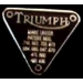 TRIUMPH MOTORCYCLE TRIANGLE PIN