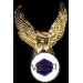 VESPA EAGLE PIN