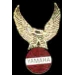 YAMAHA PIN MOTORCYCLE EAGLE YAMAHA PIN