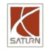 SATURN CAR PIN AUTO LOGO PIN