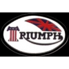 TRIUMPH MOTORCYCLE LARGE LOGO PIN