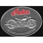 INDIAN MOTORCYCLE PIN OLD INDIANS NEVER DIE ANTQ SILVER PIN