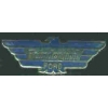 FORD THUNDERBIRD BIRD LOGO PIN